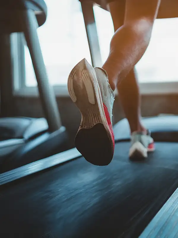 gimnasio guadalajara